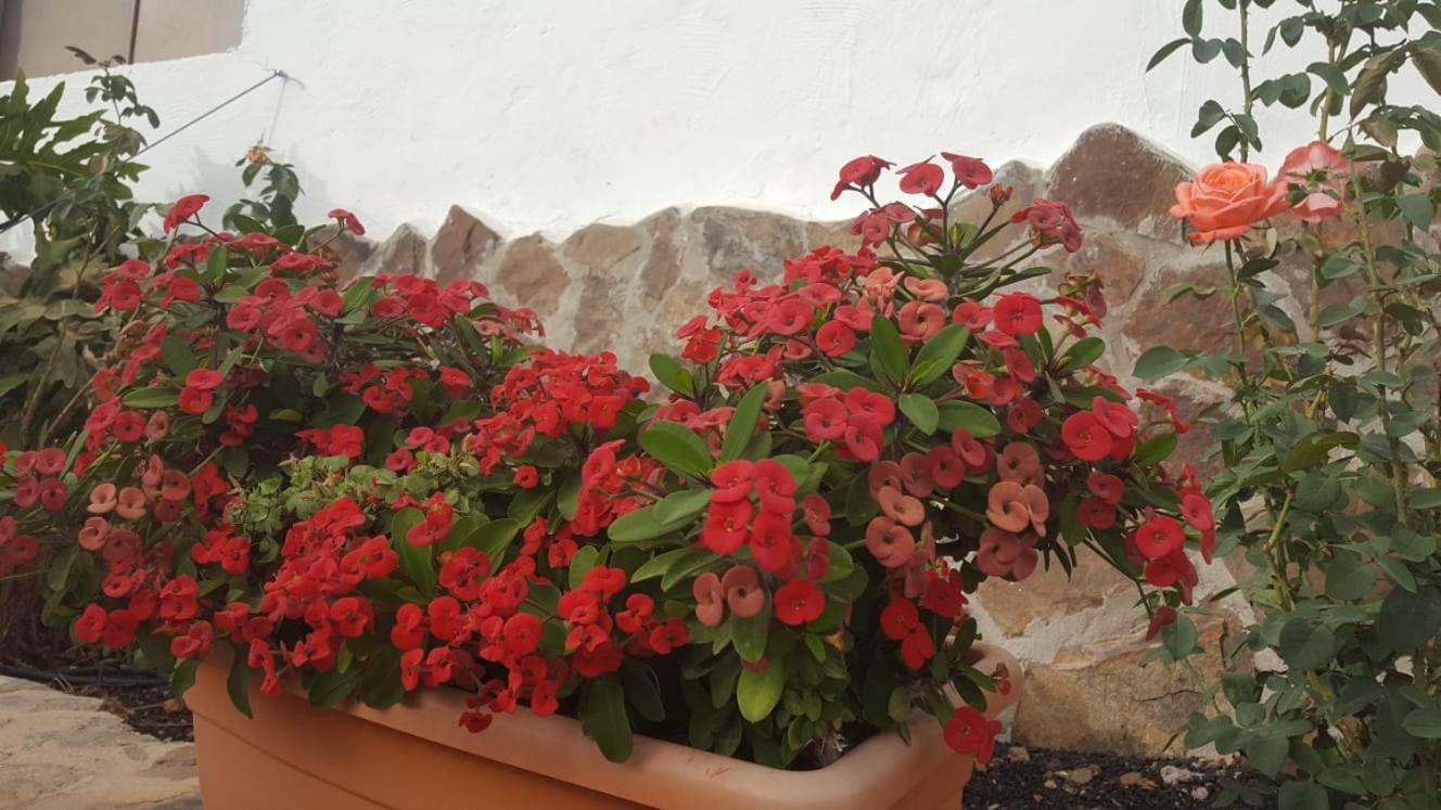 Casa Reyes Fataga Apta Reyes 외부 사진